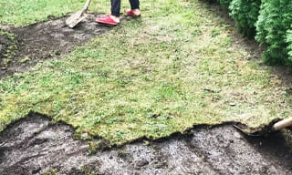Снятие дерна старого газона в Пугачеве – от 529 руб. | 2Землекопа-Пгч